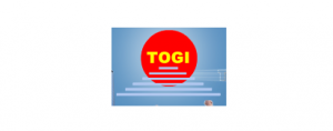 Công ty CP đầu tư Tài chính Bất động sản TÔGI