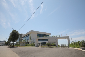 Ban cơ yếu Chính phủ