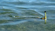 Robot lươn phát hiện ô nhiễm nước