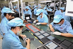 Support for human resources development of SMEs