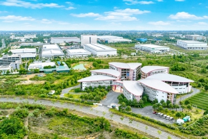 Trải thảm đón dòng vốn dẫn dắt chuỗi cung ứng toàn cầu