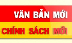 Ha Noi shortens mandatory quarantine period for qualified entrants