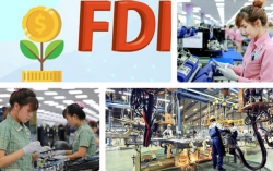 Viet Nam on frontline to absorb quality FDI