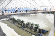 Thêm hai chương trình tăng tốc khởi nghiệp nông nghiệp