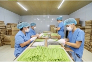 Cá nhân, tổ chức có thể được hỗ trợ 100% chi phí thuê chuyên gia tư vấn khởi nghiệp sáng tạo